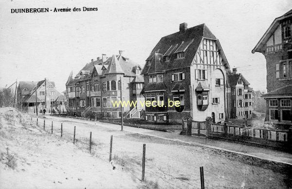 ancienne carte postale de Duinbergen Avenue des Dunes