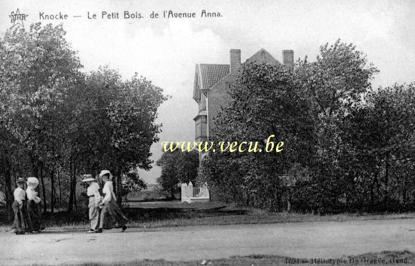 ancienne carte postale de Knokke Le petit bois de l'avenue Anna