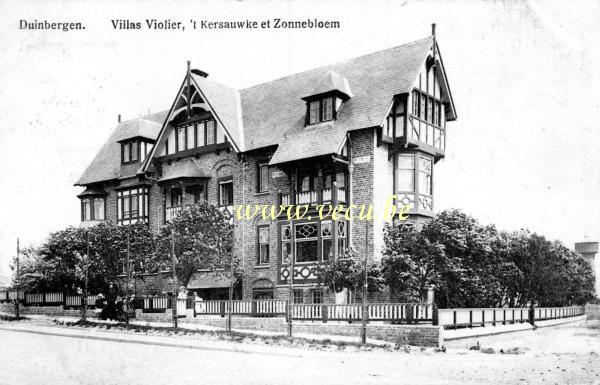 ancienne carte postale de Duinbergen Villas Violier, 't kersauwke et Zonnebloem