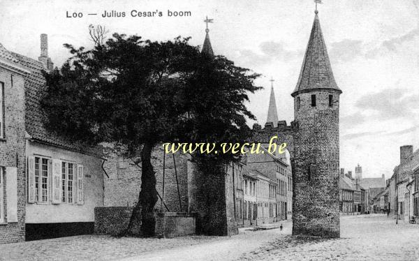 ancienne carte postale de Lo Arbre de Jules César