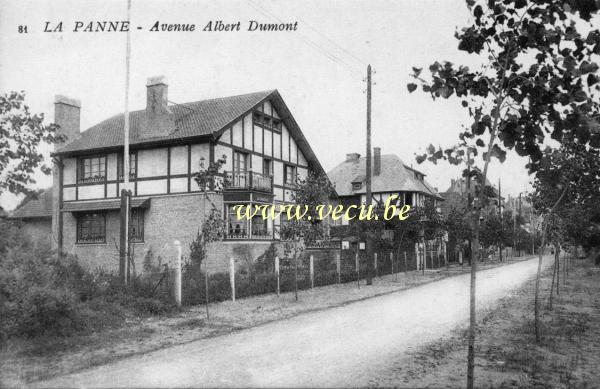 ancienne carte postale de La Panne Avenue Albert Dumont