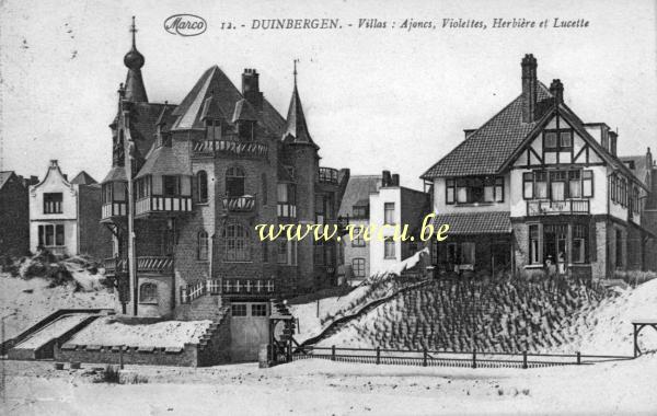 ancienne carte postale de Duinbergen Villas : Ajoncs, violettes, Herbière et Lucette