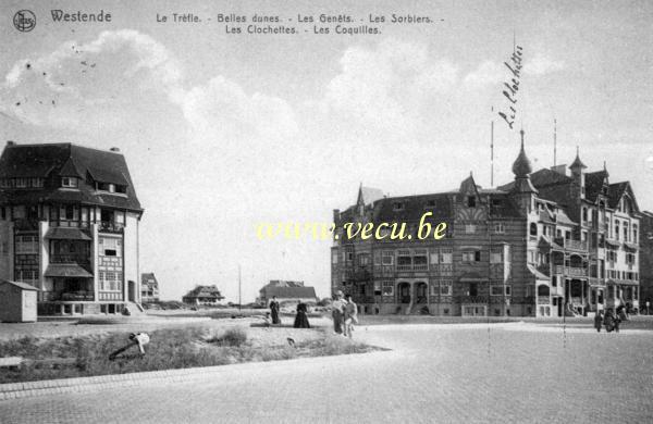 ancienne carte postale de Westende Le trèfle - Belles dunes - Les genêts - Les sorbiers - Les clochettes - Les coquilles