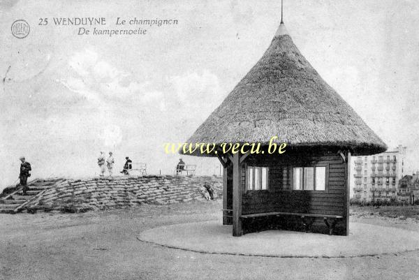 ancienne carte postale de Wenduyne Le Champignon