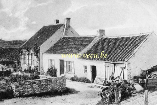 ancienne carte postale de Westende Maisons de pêcheurs