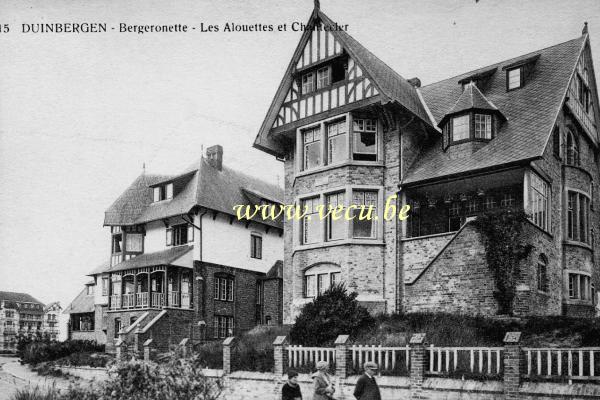ancienne carte postale de Duinbergen Bergeronnette, Les Alouettes et Chantecler