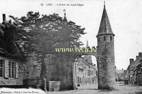 ancienne carte postale de Lo L'arbre de Jules César
