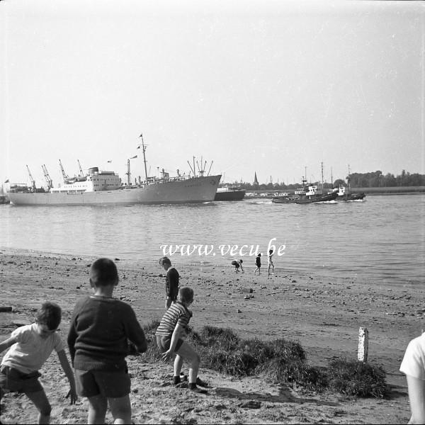 photo ancienne  de cargos  Enfants en plein jeu lors du passage du cargo Seatle tiré par 2 remorqueurs