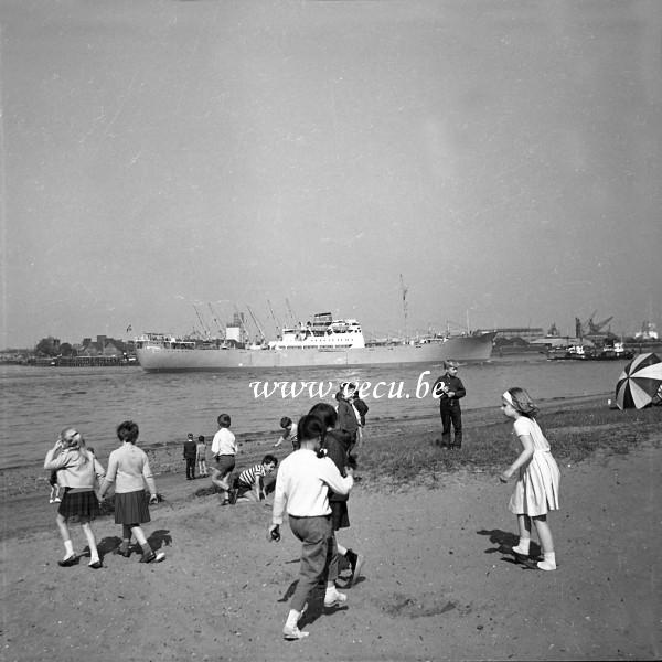 photo ancienne  de cargos  Enfants en plein jeu lors du passage du cargo Seatle tiré par 2 remorqueurs