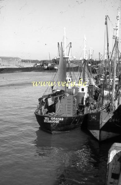 photo ancienne  de bateaux de pêche  Deo Gratias