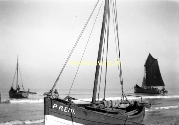 photo ancienne  de bateaux de pêche  P REMI échoué sur la plague