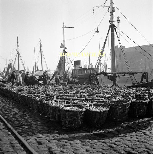 photo ancienne  de bateaux de pêche  Déchargement du poisson