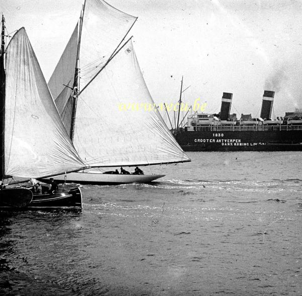 photo ancienne  de voiliers  Régates sur l'Escaut