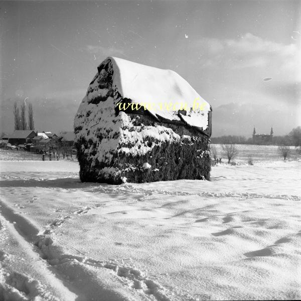 photo ancienne  de la commune de Ganshoren  La campagne enneigé - au loin le Château Tricher démoli en 1973