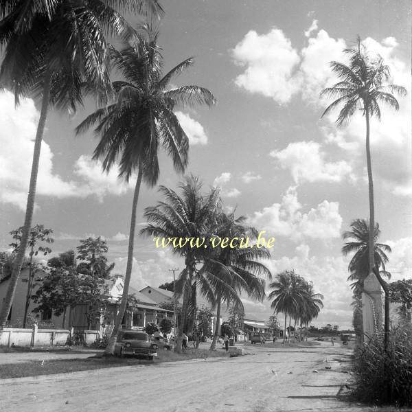 photo ancienne  d' urbanisme au Congo  Des villas