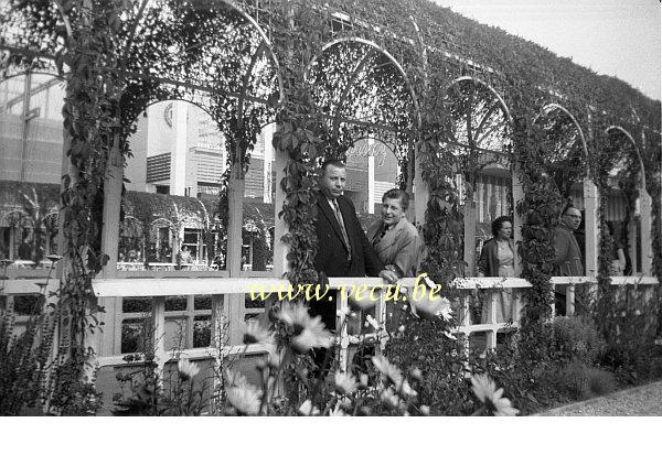 photo ancienne  de l'expo 58  Jardin des 4 saisons entre les pavillons Meurisse, Jacques, Côte d'or et Dexion