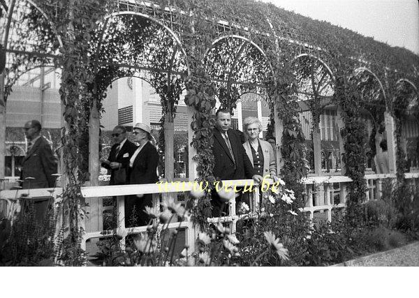 photo ancienne  de l'expo 58  Jardin des 4 saisons entre les pavillons Meurisse, Jacques, Côte d'or et Dexion