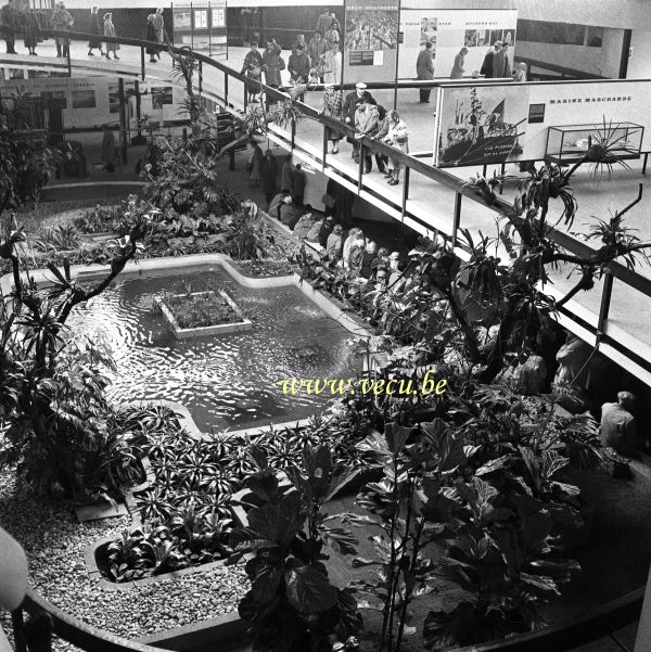 photo ancienne  de l'expo 58  Pavillon du Brésil. Le jardin exotique