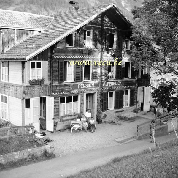 photo ancienne  Pension Alpenblick