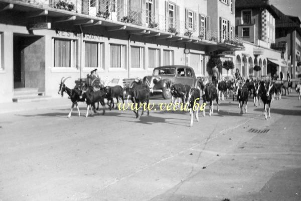photo ancienne &nbsp;Un troupeau et une belle auto ancienne devant l'hôtel-restaurant Schweizerhof des Grisons.