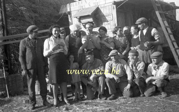 photo ancienne  de métiers de l'agriculture et de l'élevage  