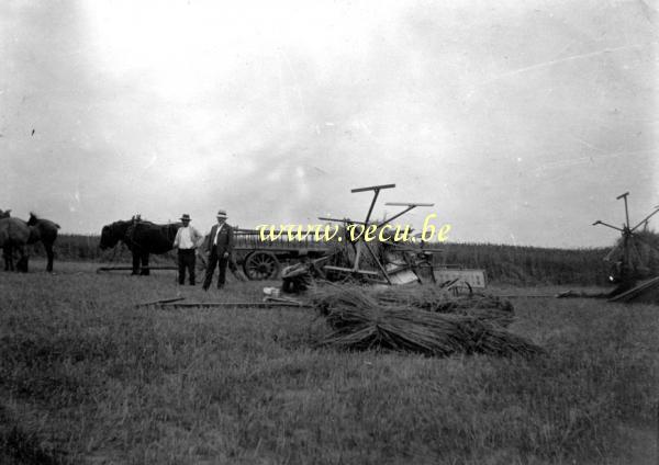 photo ancienne  de métiers de l'agriculture et de l'élevage  Moissons