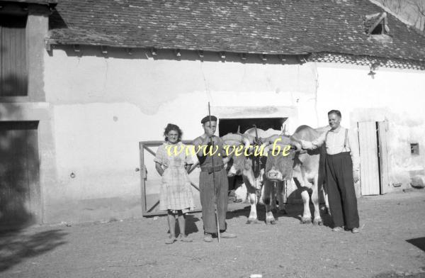 photo ancienne  de métiers de l'agriculture et de l'élevage  Ferme