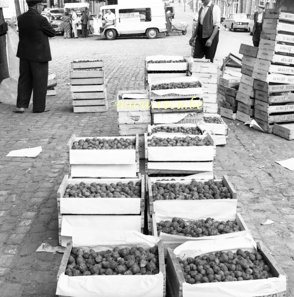 photo ancienne  de métiers de l'agriculture et de l'élevage  Vente de la production de fraises d'August Meert