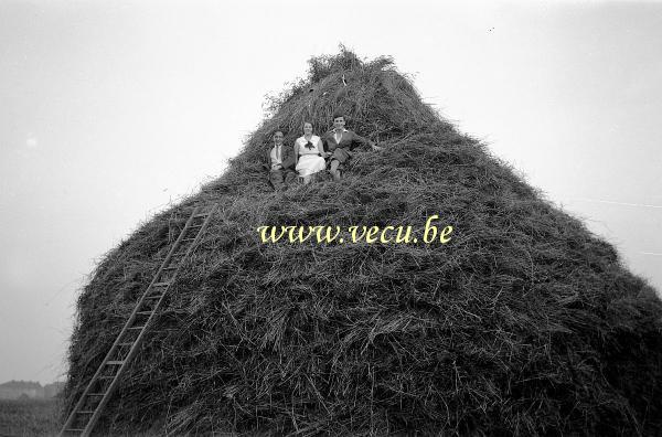 photo ancienne  de métiers de l'agriculture et de l'élevage  Après la moisson, petite pause au dessus du tas de paille 