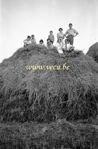 photo ancienne  de métiers de l'agriculture et de l'élevage  Après la moisson, la famille sur la paille...