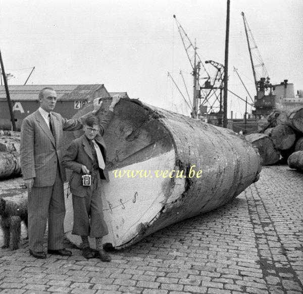 Photo ancienne  de métiers liés à l'activité portuaire  