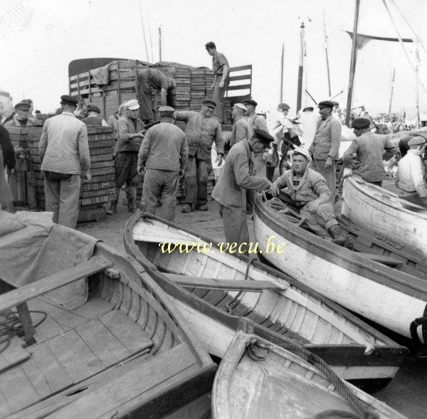 photo ancienne  de métiers liés à la pêche  Arrivée de la pêche