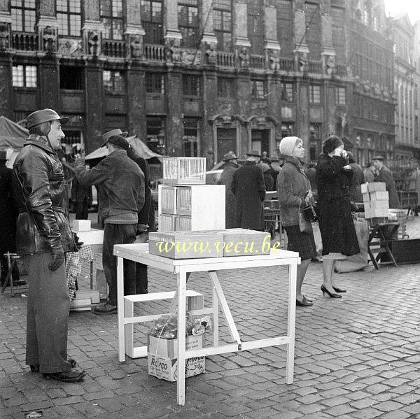 photo ancienne  de métiers divers  Marchand d'oiseaux sur la grand place de Bruxelles