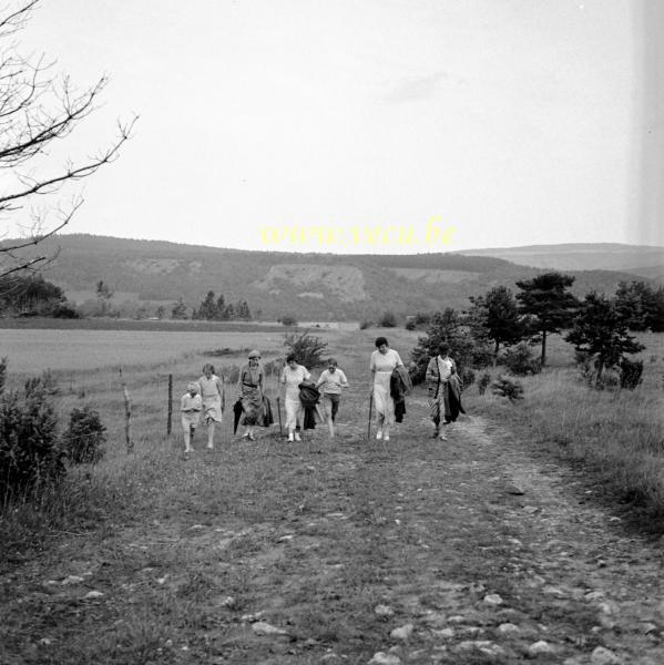 photo ancienne  La promenade