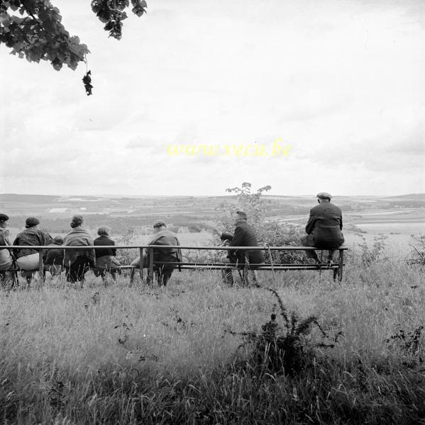 photo ancienne  Petite pose pendant la promenade