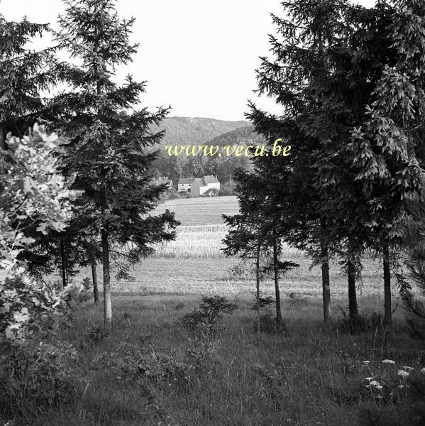 photo ancienne  Vue sur la rue des Pairées depuis la campagne