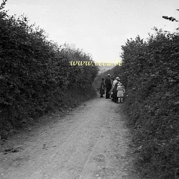 photo ancienne  Cueillette des framboises