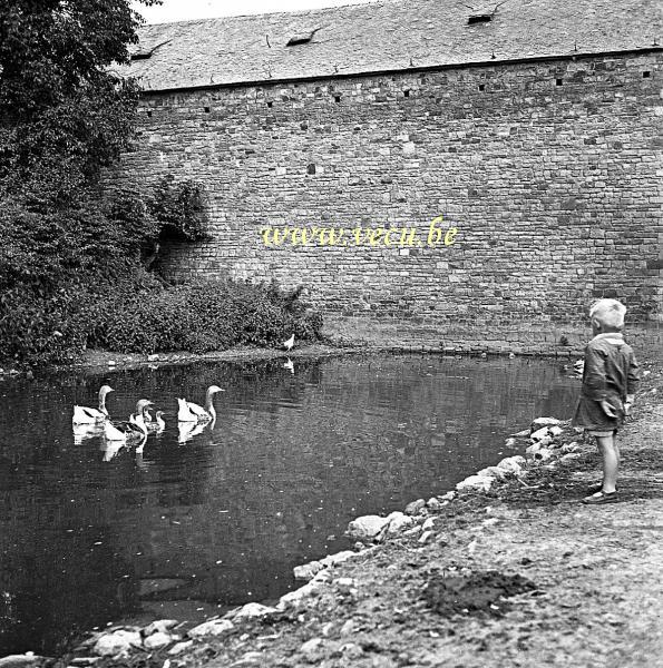 photo ancienne  La mare aux canards