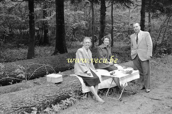 photo ancienne  pique-nique dans les bois