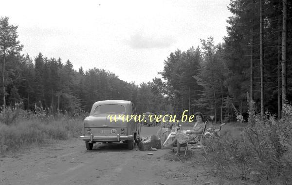 photo ancienne  Pique-nique en forêt avec l'Austin (A50 Cambridge)