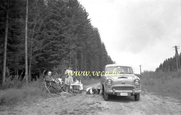 photo ancienne  Pique-nique en forêt avec l'Austin (A50 Cambridge)