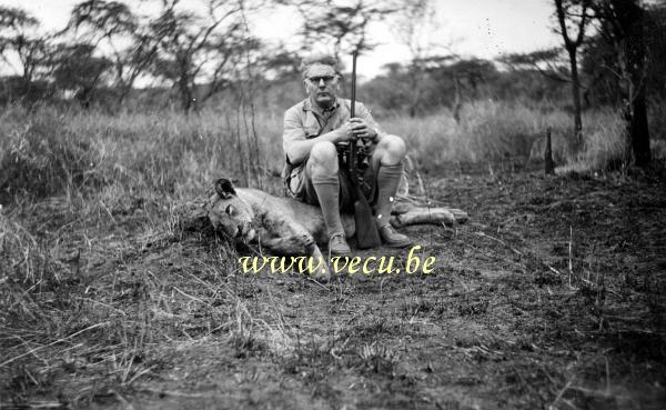 photo ancienne  Chasse au lion