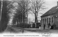 carte postale ancienne de Brasschaat Polygone - L'avenue de la Chapelle et la grande cantine