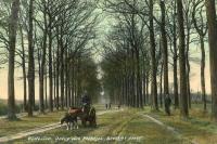 carte postale ancienne de Westerlo Drève des beeldjes