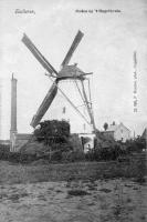 carte postale ancienne de Ekeren Moulin à la Croix de Grêle (Hagelkruis)