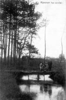 carte postale ancienne de Rijmenam Pont Leliendael