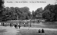 carte postale de Bruxelles Bois de la Cambre - Le Lac et l'île Robinson