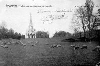 carte postale ancienne de Laeken Les moutons dans le Parc public