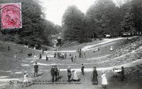 carte postale de Bruxelles Bois de la Cambre - Ravin et Pont rustique