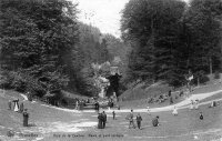 carte postale de Bruxelles Bois de la Cambre, ravin et pont rustique